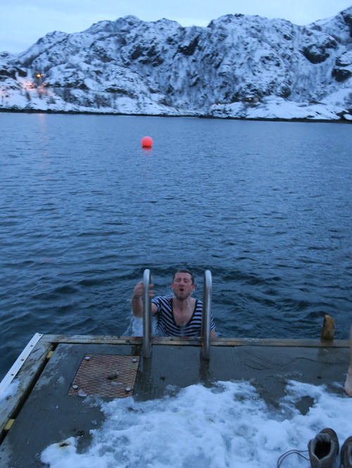Arctic Swimming