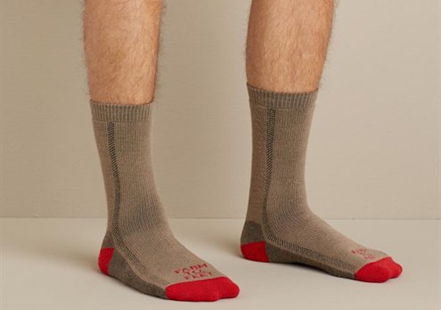 nfz-socks