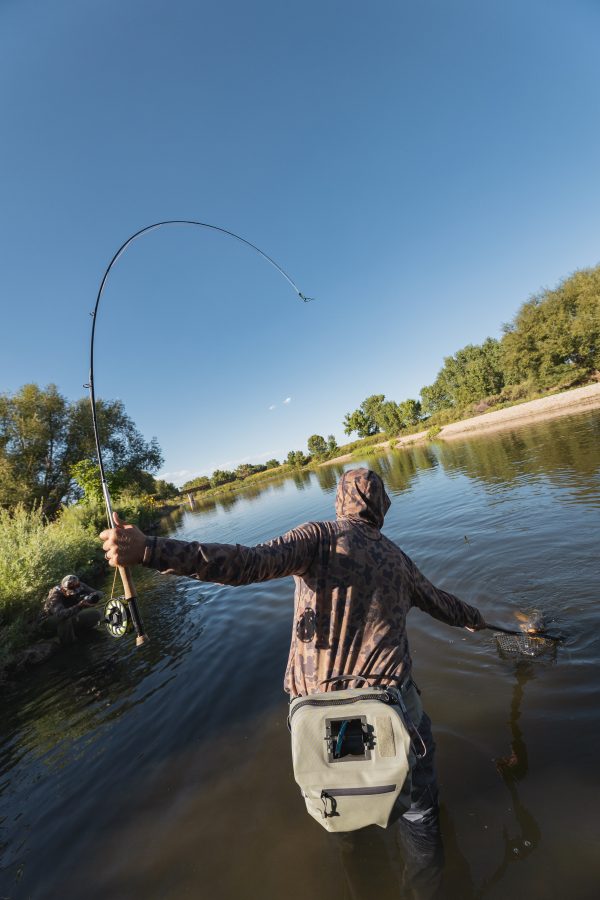Angler wade-fishing with a new Orvis Helios fly rod. A large carp is on the line.