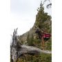 4Moutainsmith-Pack-Pika-on-tree