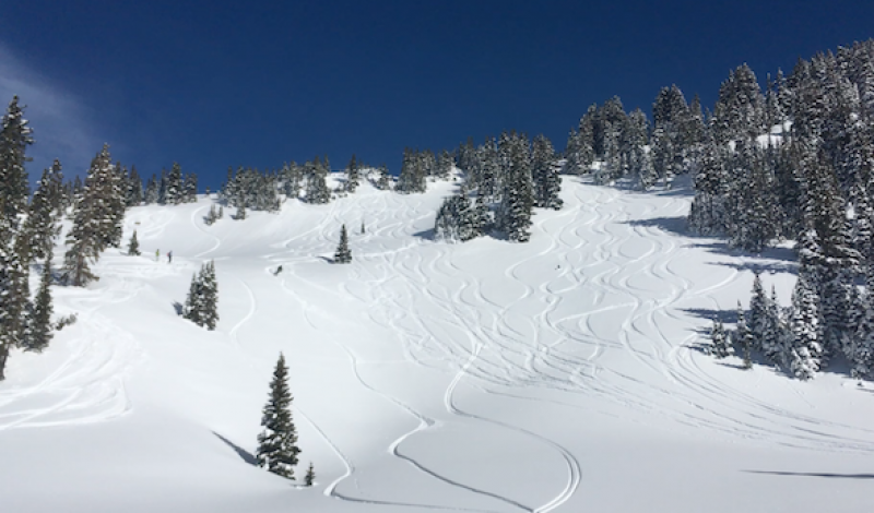 Backcountry Skiing in Crested Butte: The Cat’s Pajamas