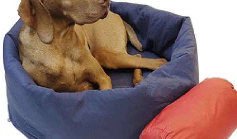 Finally, a Sleeping Bag Fit for Your Dog