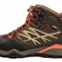 The North Face Hedgehog Mid GTX Hiking Boot
