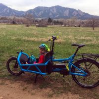 Riese + Müller Load eCargo Bike Review