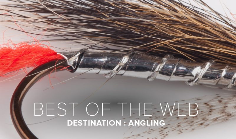 Angling Online: Top 5 Sites for Fly Fishers