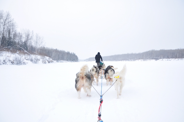 The Outdoor Gear Used to Survive a Brutal Dog Sled Marathon