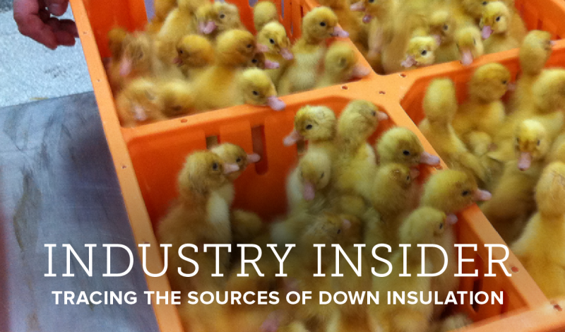 The Ethics of Down: Tracing the Sources of Insulation