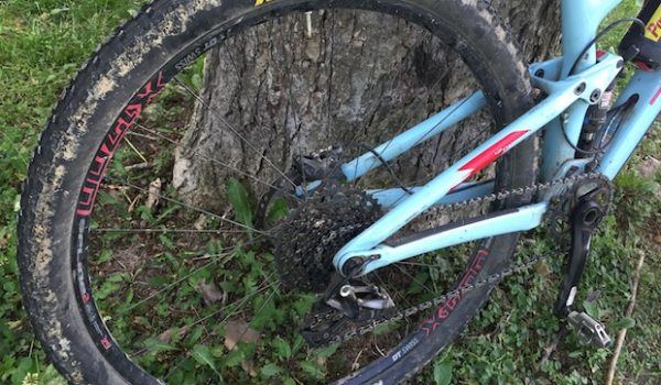 Maxxis Ardent Mountain Bike Tire Review